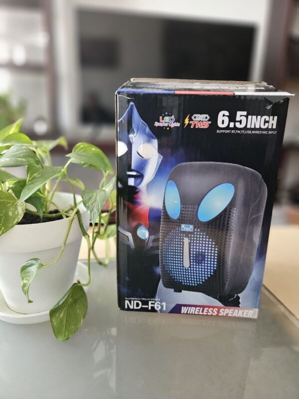 ALTAVOZ DE 80W | BLUETOOTH | USB | LED | RECARGABLE